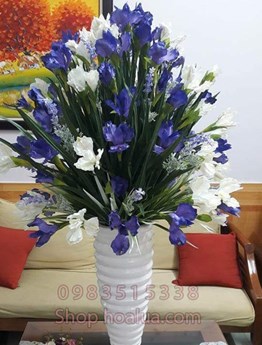 Hoa Diên Vỹ