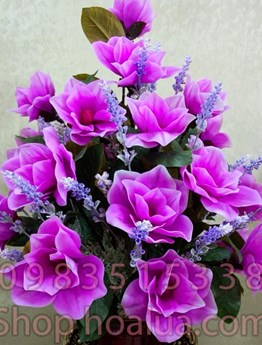 Bình Hoa Mộc Lan cao su