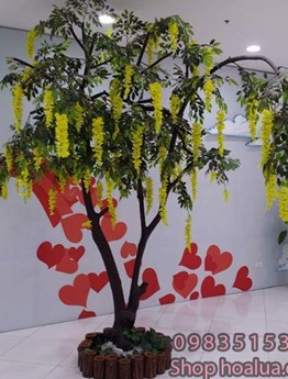 Cây Bồ Công Anh