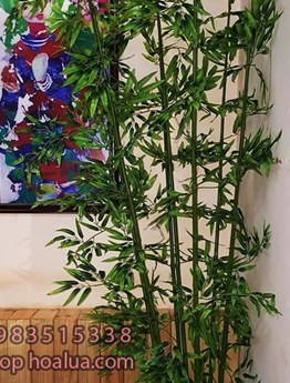 Bụi Trúc