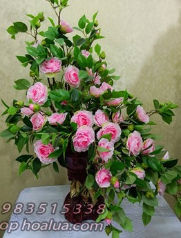 Bình hồng trà