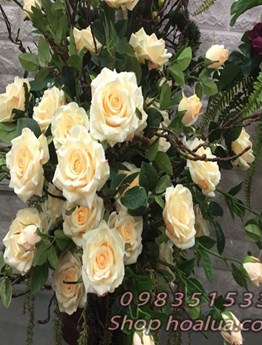 Bình hoa hồng cổ