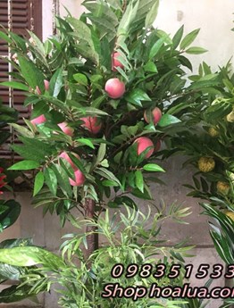 Cây cảnh giả - Cây quả đào