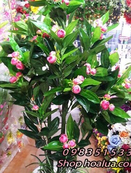 Cây cảnh giả - Cây hồng trà nụ
