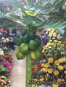 Cây cảnh giả - Cây đu đủ