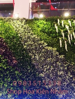 Thảm cỏ cây trang trí tường