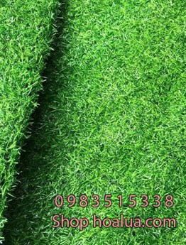 Thảm cỏ