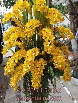 Chậu Địa Lan lụa