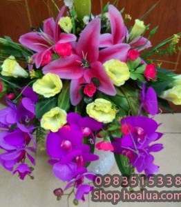 Đĩa hoa bục phát biểu