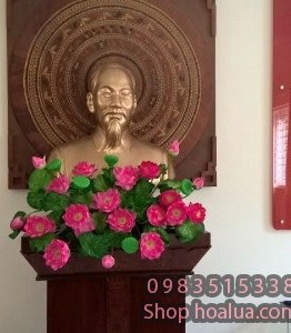 Hoa Sen bục tượng Bác