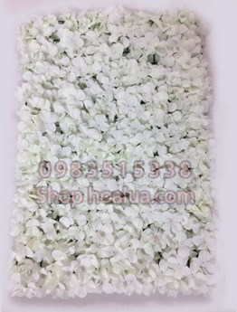 Thảm hoa màu trắng