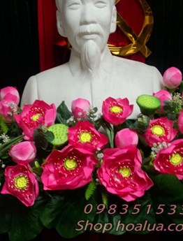 Hoa Sen bục tượng Bác