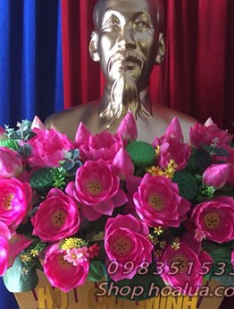 Hoa sen tượng Bác