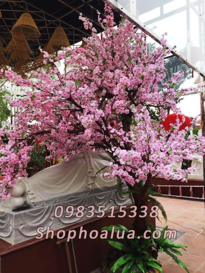 Cây anh đào giả