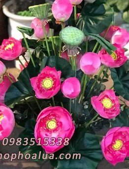 Bình hoa sen lụa